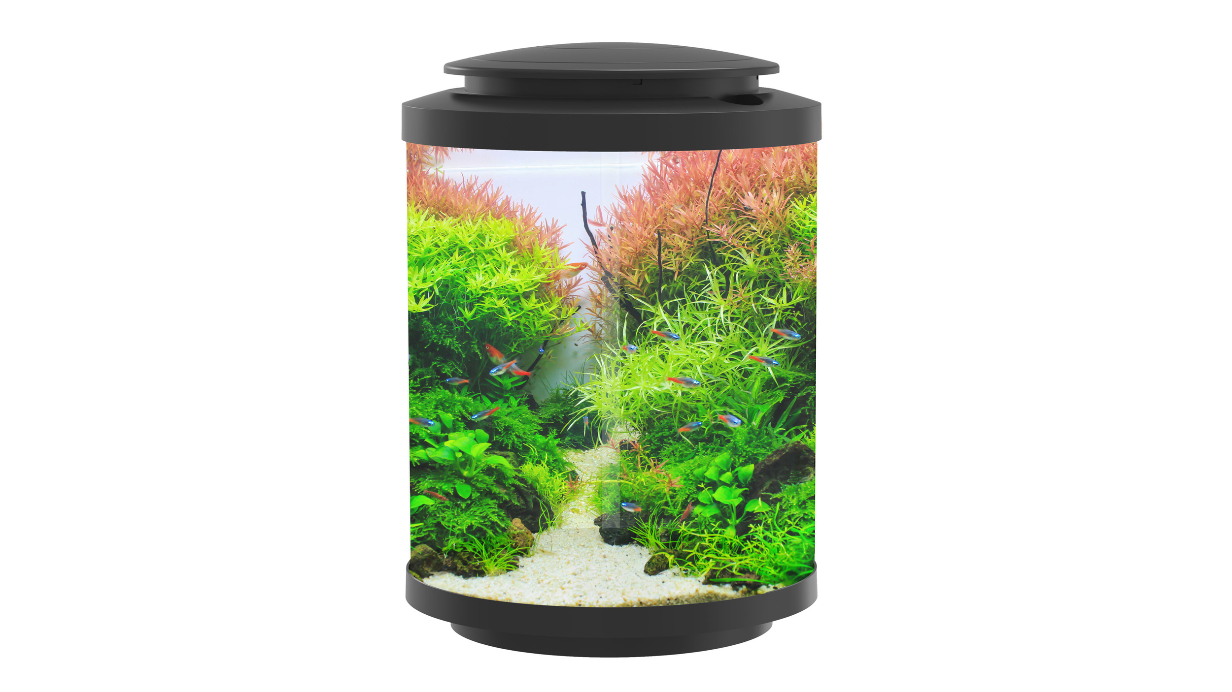 Cylinder aquarium top